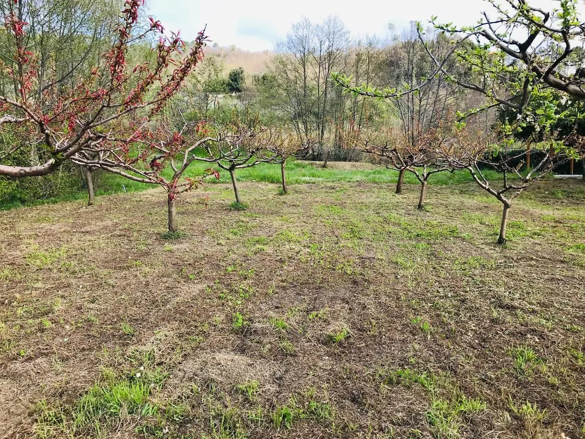 Apartment Appartamenti Borgo San Pietro Deiva Marina Italien